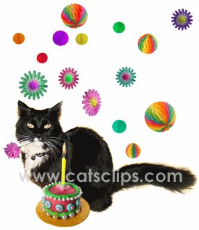 cat_birthdayW.gif
