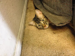 lpWgGTMSIaxXEKN13ezSsFUVo-MNl9f4gudvqyxwzik=w248-h186-p-no