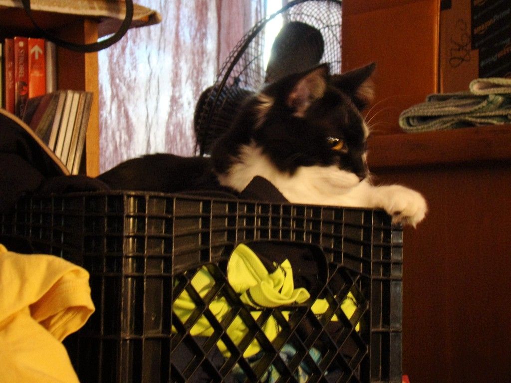 DSC02420_zps1fl9kil1.jpg