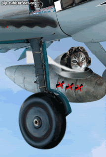 flykitty1.gif
