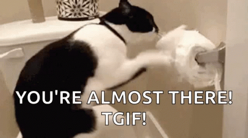 cat-toilet-paper.gif