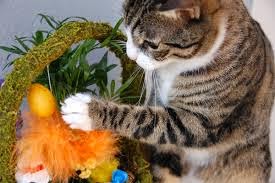 Cat+Easter.jpg