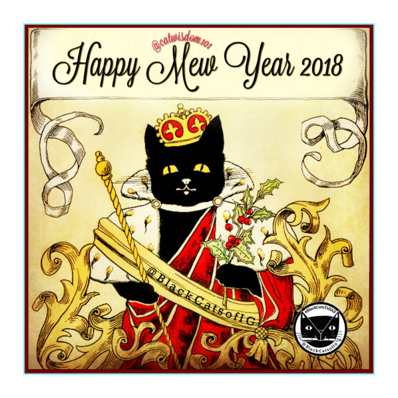 New_year_2018_black_cats-e1514706633983.jpg