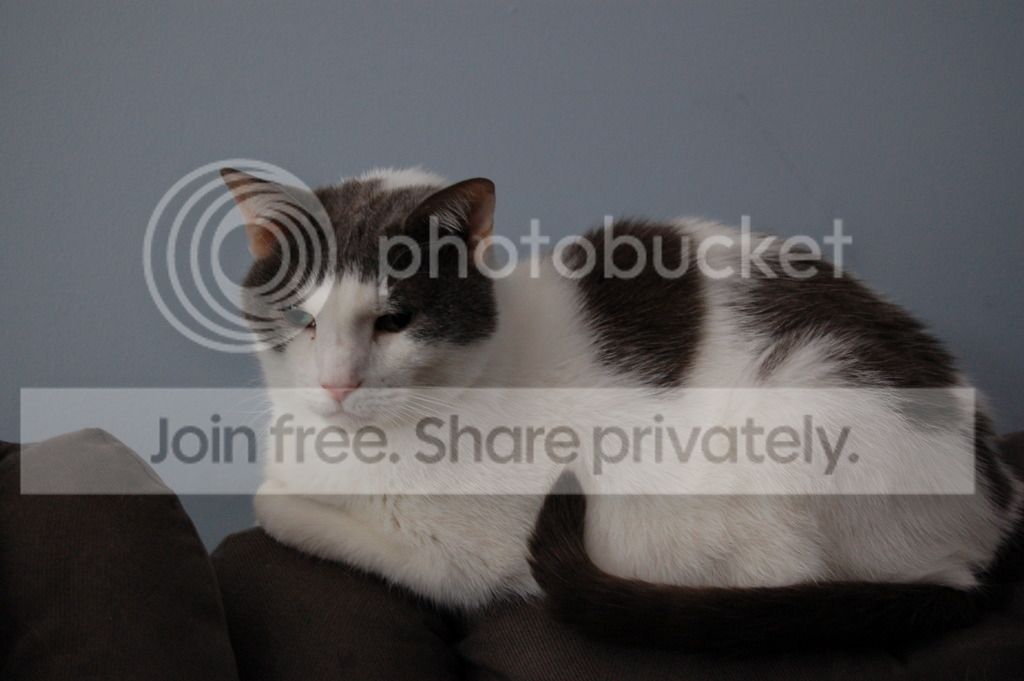 DSC_0047_zpser9y30cz.jpg