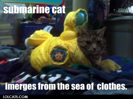 Yellow-submarine-lol-cats-31468845-450-337.jpg