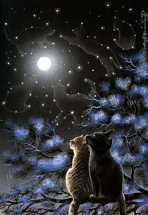 2ab0de9bf22983835148c1747eb69505--warrior-cats-cat-love.jpg