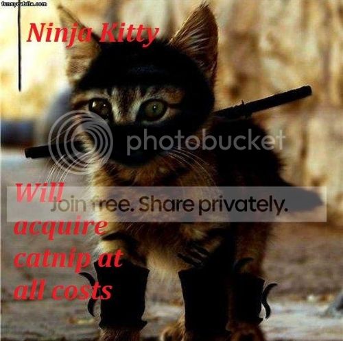 ninja_zpsju7wz23k.jpg