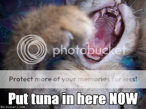 FeedMeTuna.jpg