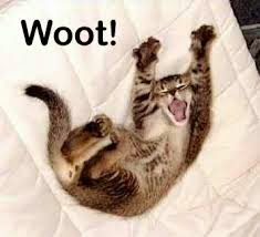 woot.jpg