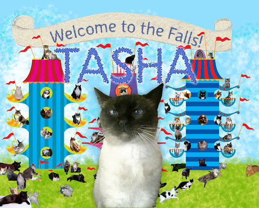 TASHA%20otj%20pic.jpg