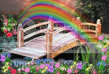 rainbowbridge.jpg