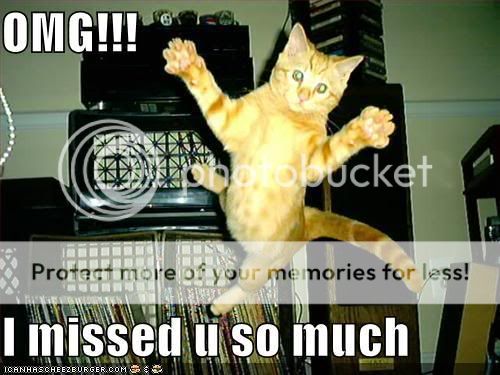 cat-misses-you.jpg