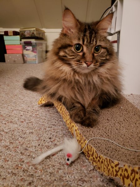 20190814_123140-jpg.47107