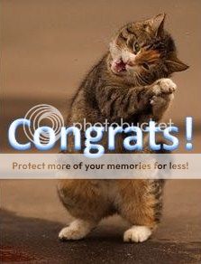 cat-congrats.jpg