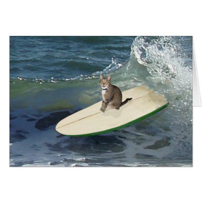 tabby_cat_surfs_up_card-p137304029591484581z85p0_400.jpg