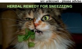 sneezing.jpg