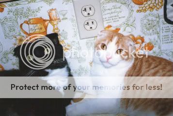 img044edit.jpg