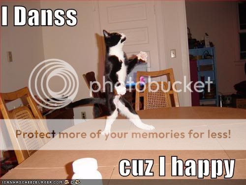 funny-pictures-dancing-cat.jpg
