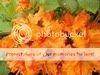 orangeazalea2.jpg