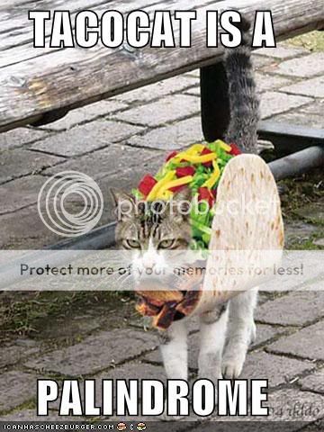 tacocat.jpg