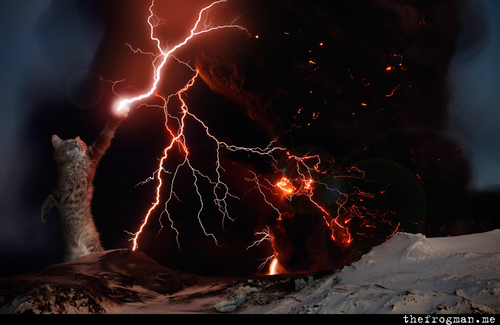 lightning%2Bcat.png