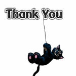 th_thank-you-black-cat-ag11.gif