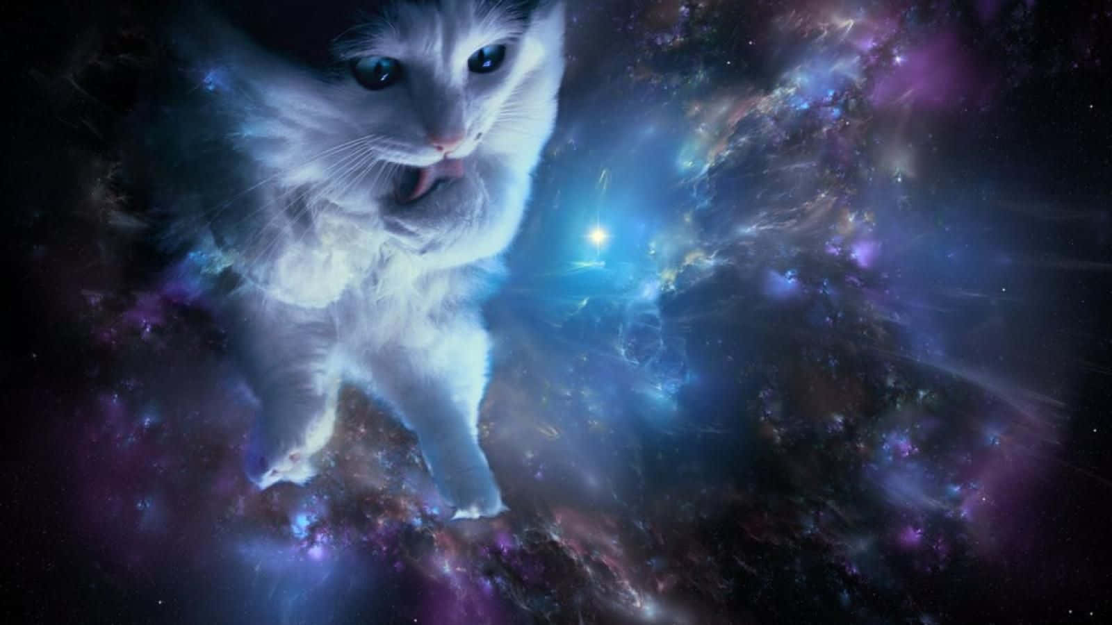 cats-in-space-1pg3e2nzpaiu5lmt.jpg