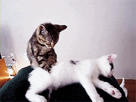 200_s.gif