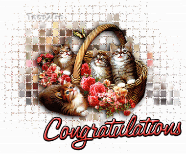 catscongrats_zps005e557c.gif