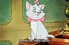 96649.gif
