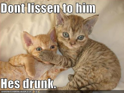LOLCatDrunk.jpg