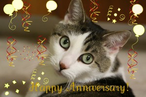 Happy-Anniversary-TTT-300x200.jpg
