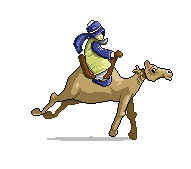 running_camel.gif