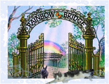 rainbowbridge.jpg