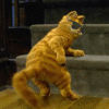 cat%20wiggle.gif