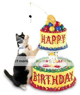 HappyBirthdaycat.jpg