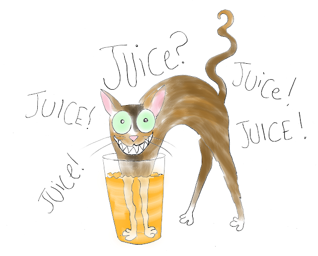 cat+in+juice.png
