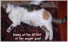 Fatripley