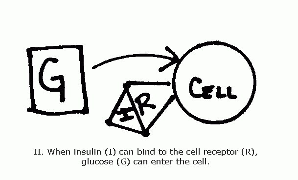 G i 2