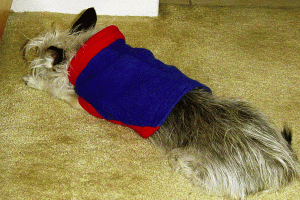 Rileysleepsa