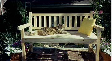 Bench2