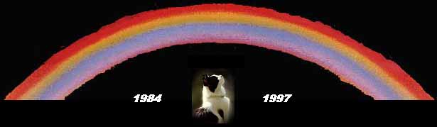Rainbo3
